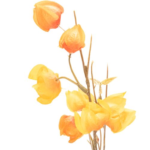 Pianta artificiale di lanterna cinese, ramo di Physalis con fiori, 95 cm | Floristik24.it