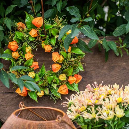Floristik24 Ghirlanda Physalis arancione artificiale, decorazione autunnale verde Ø28cm
