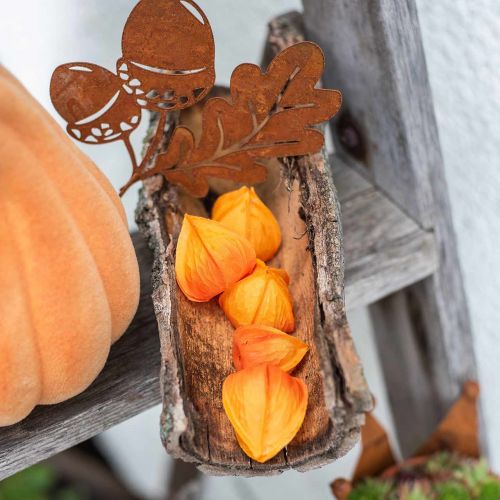 Floristik24 Physalis Orange Assortimento 22 calici artificiali decorativi