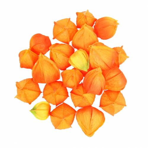Physalis Orange assortiti 22 calici decorativi per fiori artificiali
