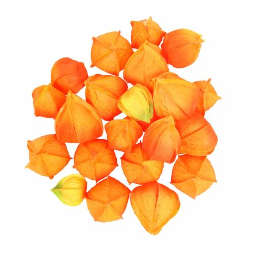Floristik24 Physalis Orange Assortimento 22 calici artificiali decorativi