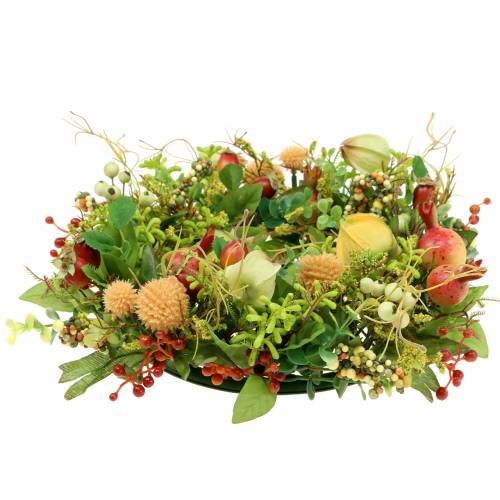 Floristik24 Ghirlanda d&#39;Autunno Physalis Ø30cm