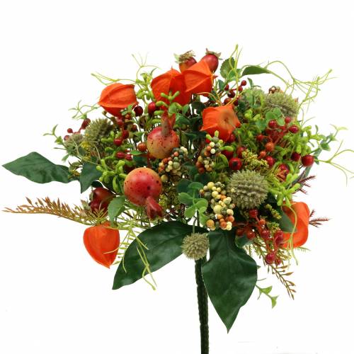 Floristik24 Bouquet autunnale physalis 26cm