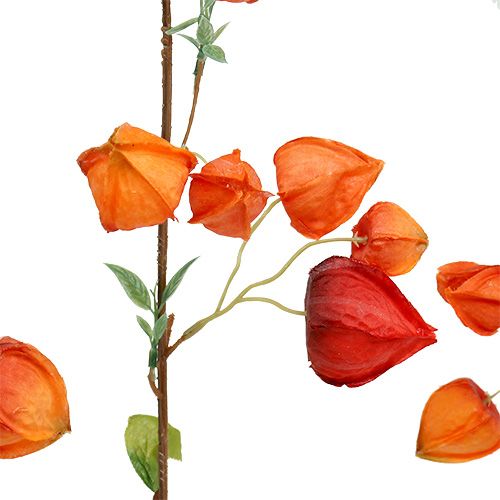 Floristik24 Physalis branch 90cm arancione 3 pezzi
