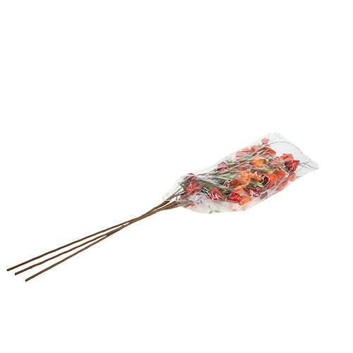 Floristik24 Physalis branch 90cm arancione 3 pezzi