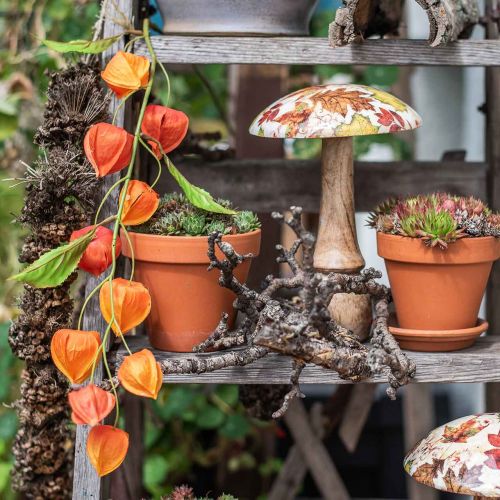 Floristik24 Physalis ramo artificiale arancio 78cm