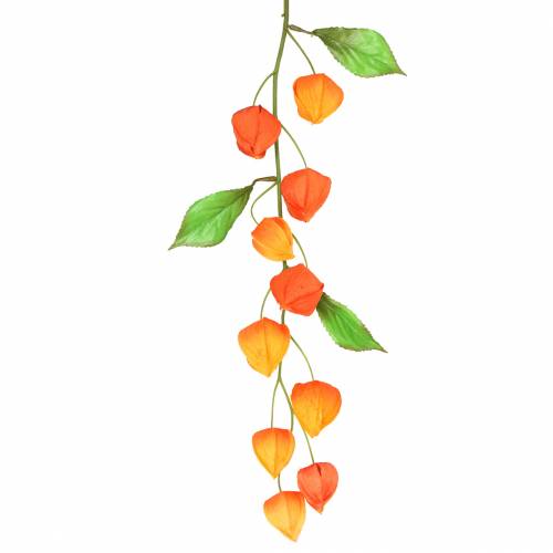 Floristik24 Physalis ramo artificiale arancio 78cm