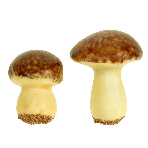 Prodotto Mushroom Mix Brown 24 pezzi