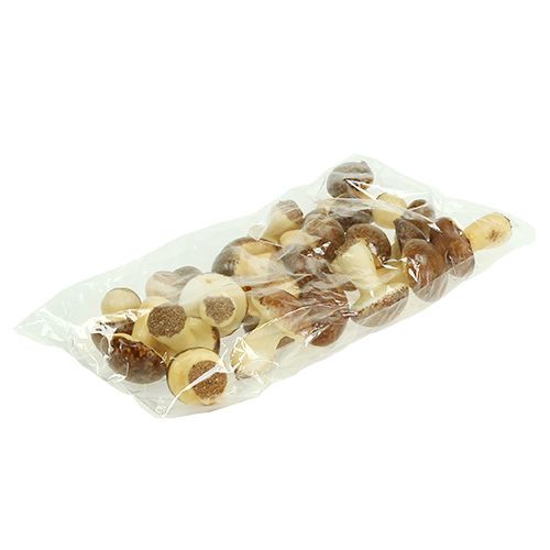 Floristik24 Mushroom Mix Brown 24 pezzi