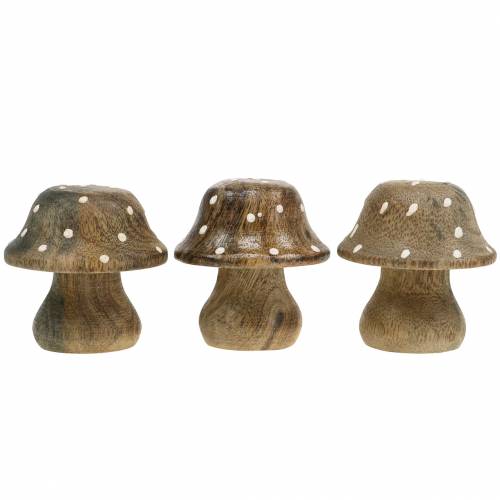 Floristik24 Fungo decorativo in legno natura 5 cm 6 pezzi