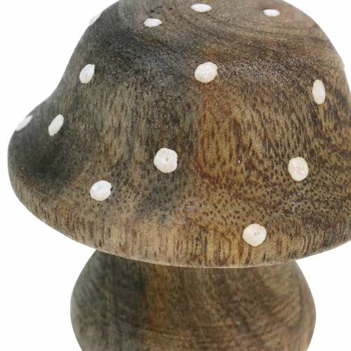 Floristik24 Fungo decorativo in legno natura 5 cm 6 pezzi