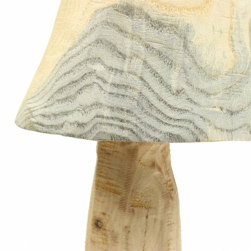Floristik24 Pineta dei funghi Ø26cm H52cm