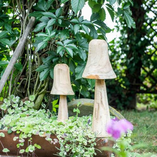 Floristik24 Pineta dei funghi Ø26cm H52cm