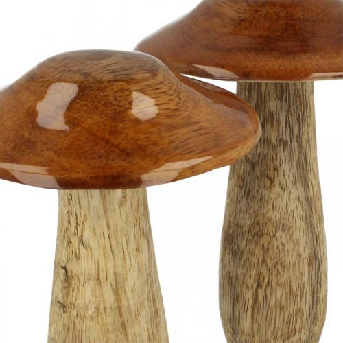 Floristik24 Fungo legno di mango marrone, decorazione della tavola della natura autunno Ø9cm H12cm 2 pezzi