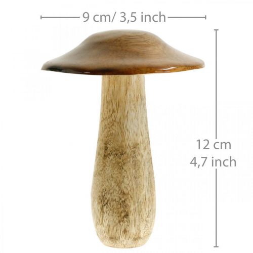 Floristik24 Fungo legno di mango marrone, decorazione della tavola della natura autunno Ø9cm H12cm 2 pezzi