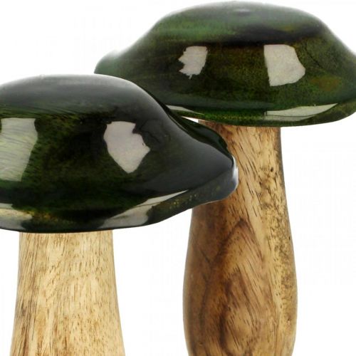 Floristik24 Decorazione autunnale in legno di mango verde fungo in legno Ø9cmH11cm 2 pezzi