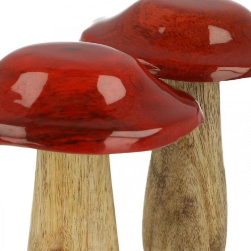 Floristik24 Fungo in legno di mango rosso, decorazione naturale autunnale Ø9cm H12cm 2pz