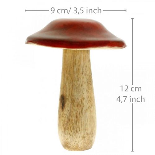Floristik24 Fungo in legno di mango rosso, decorazione naturale autunnale Ø9cm H12cm 2pz
