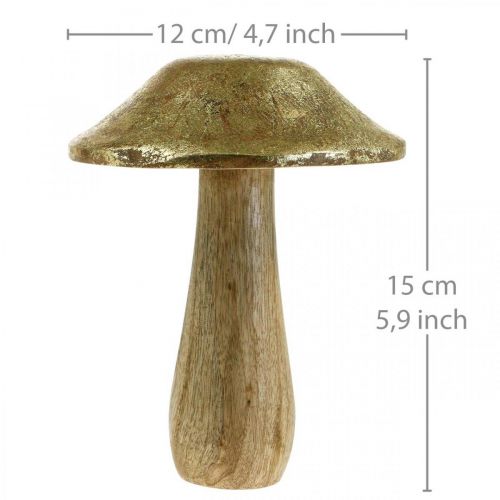 Fungo legno di mango oro, funghi decorativi naturali grandi Ø12cm H15cm 2 pezzi