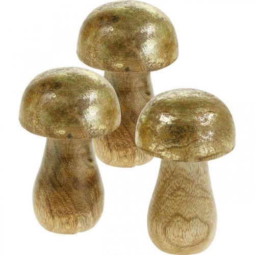 Floristik24 Fungo legno di mango oro, fungo decorativo naturale Ø6cm H10cm 4 pezzi