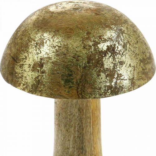 Floristik24 Fungo legno di mango oro, fungo decorativo naturale Ø9cm H15.5cm 2 pezzi
