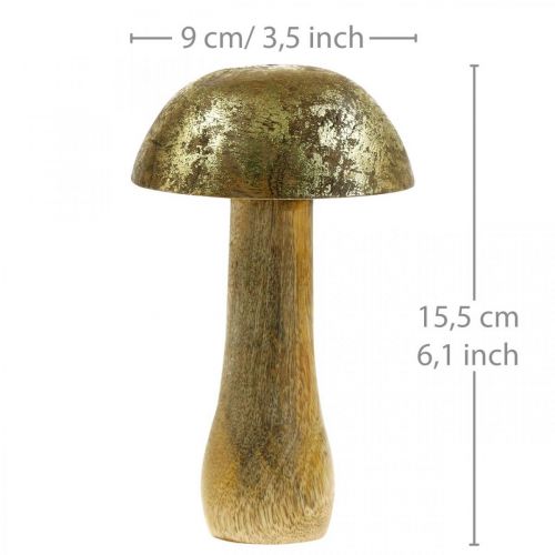 Floristik24 Fungo legno di mango oro, fungo decorativo naturale Ø9cm H15.5cm 2 pezzi