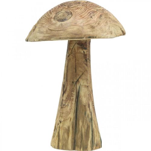 Floristik24 Fungo, legno di paulonia, autunno, decorazione in legno Ø18–20cm H28cm