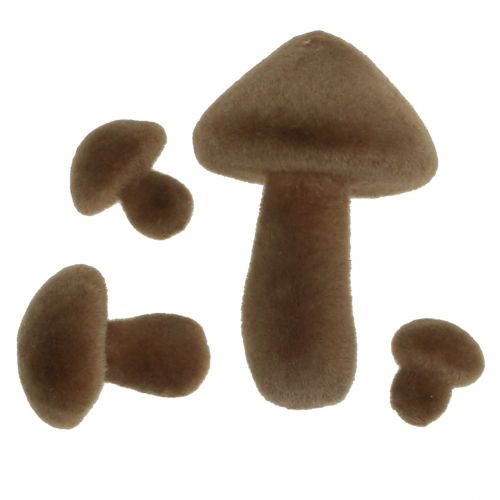 Floristik24 Funghi marroni affollati 12 pezzi