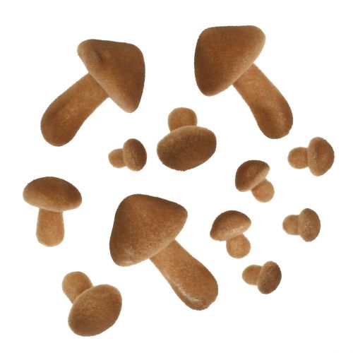 Floristik24 Funghi marrone chiaro mix 2cm - 8cm 12pz