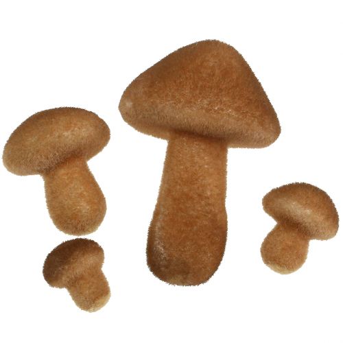 Floristik24 Funghi marrone chiaro mix 2cm - 8cm 12pz