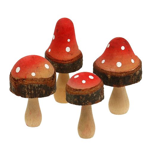 Floristik24 Funghi dal mix di legno 5,5 cm - 8 cm 8 pezzi