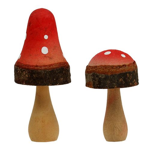 Floristik24 Funghi dal mix di legno 5,5 cm - 8 cm 8 pezzi