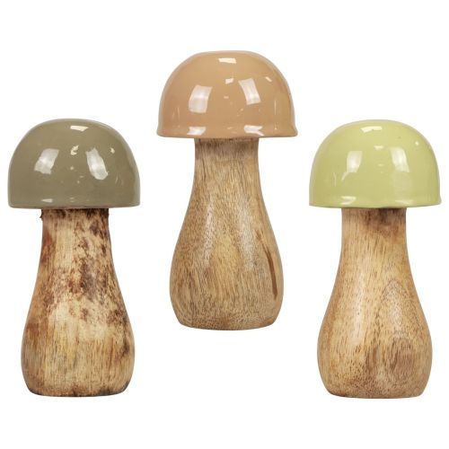 Floristik24 Funghi in legno funghi decorativi legno beige, verde Ø5cm H10,5cm 6 pezzi