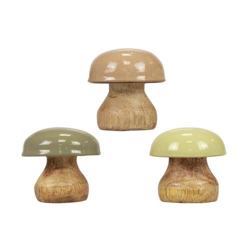 Floristik24 Funghi in legno Deco Funghi Deco in legno Beige, Verde Ø5cm H5,5cm 12 pezzi