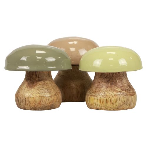 Floristik24 Funghi in legno Deco Funghi Deco in legno Beige, Verde Ø5cm H5,5cm 12 pezzi