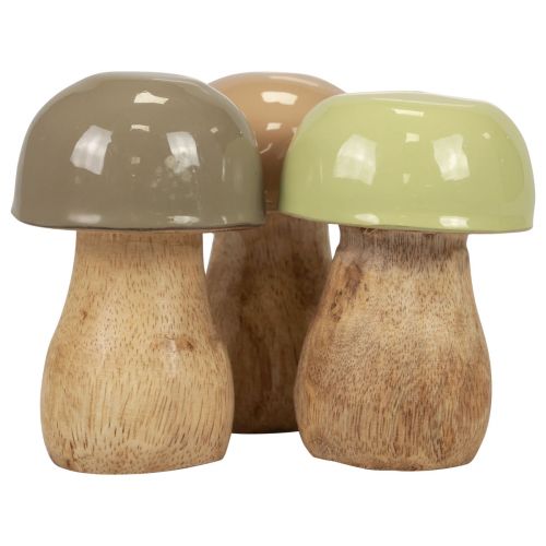 Floristik24 Funghi in legno funghi decorativi legno beige, verde Ø5 cm 7,5 cm 12 pezzi