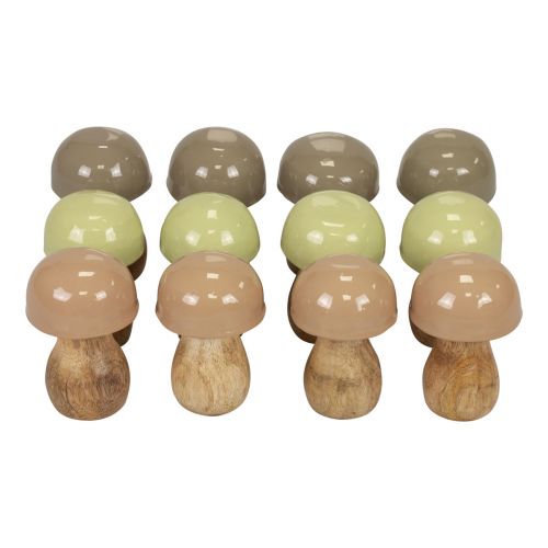 Floristik24 Funghi in legno funghi decorativi legno beige, verde Ø5 cm 7,5 cm 12 pezzi