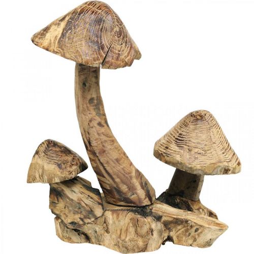 Gruppo di funghi, legno di paulonia, decorazione autunnale, scultura in legno H33cm L30cm