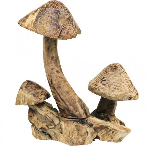 Floristik24 Gruppo di funghi, legno di paulonia, decorazione autunnale, scultura in legno H33cm L30cm