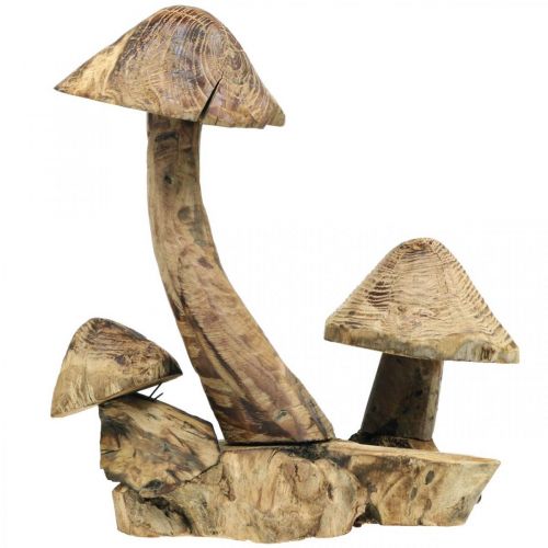 Floristik24 Gruppo di funghi, legno di paulonia, decorazione autunnale, scultura in legno H33cm L30cm
