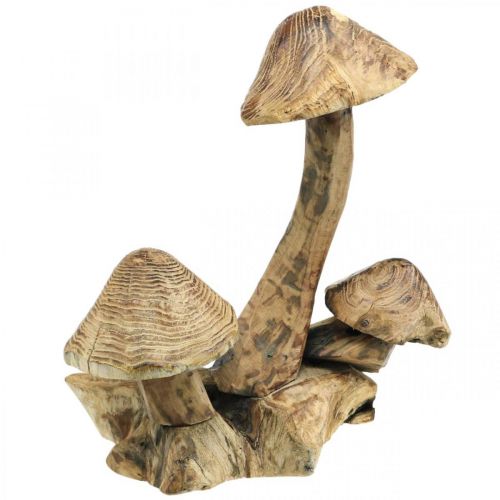 Floristik24 Gruppo di funghi, legno di paulonia, decorazione autunnale, scultura in legno H33cm L30cm