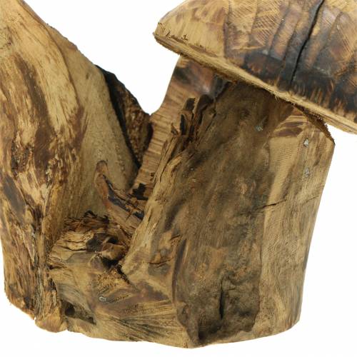 Floristik24 Funghi susino H27cm