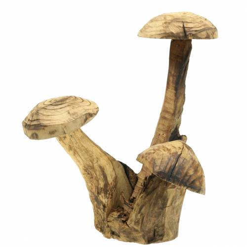 Floristik24 Funghi susino H27cm