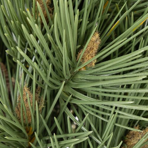 Mazzo decorativo di rami di pino artificiali per composizioni floreali, 39 cm, 6 pezzi | Floristik24.it