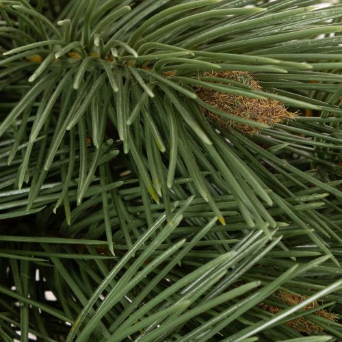 Ramo di pino artificiale decorativo, 55 cm, 3 pezzi | Floristik24.it