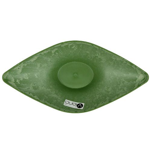 Floristik24 Ciotola in plastica ovale 34 cm x 17,5 cm H10 cm verde, 1 pezzo