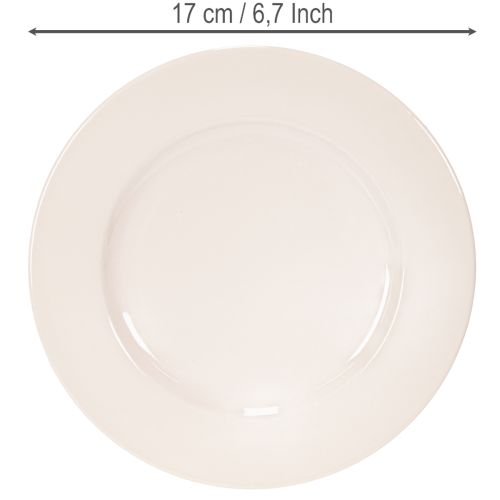 Piatti rotondi e semplici per decorazioni e piccole composizioni, 17 cm, 6 pezzi | Floristik24.it