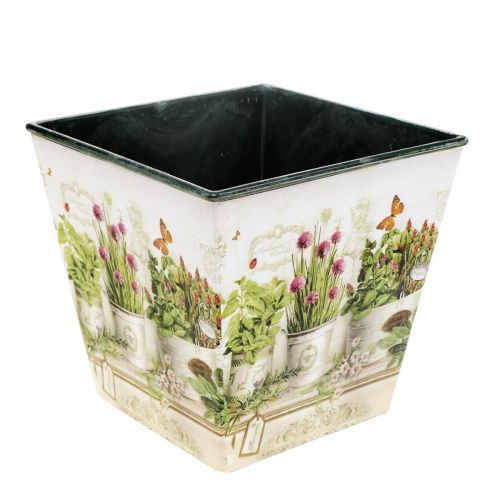 Floristik24 Vaso per erbe aromatiche, fioriera con motivo, fioriera H13 cm L13,5 cm