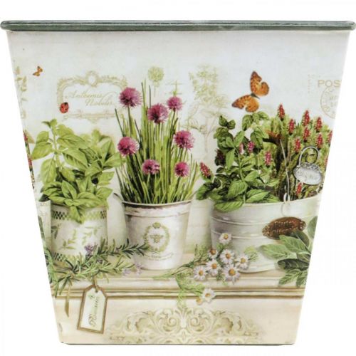 Prodotto Vaso per erbe aromatiche, fioriera con motivo, fioriera H13 cm L13,5 cm