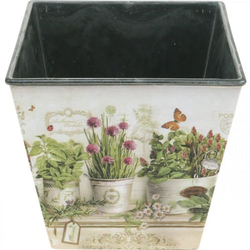 Prodotto Vaso per erbe aromatiche, fioriera con motivo, fioriera H13 cm L13,5 cm